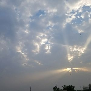 Meet your Posher, Ritik